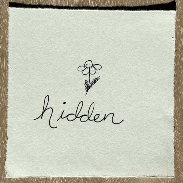 Cover art for Hidden